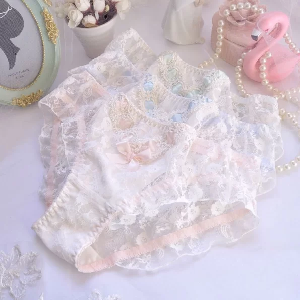 Lace Hipster Sheer Panties with A Cute Bow and Transparent Embroidery for Women 1