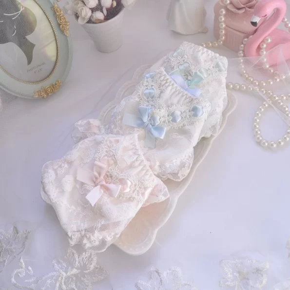 Lace Hipster Sheer Panties with A Cute Bow and Transparent Embroidery for Women 2