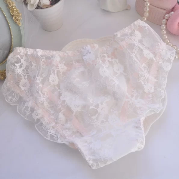 Lace Hipster Sheer Panties with A Cute Bow and Transparent Embroidery for Women 6