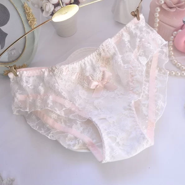 Lace Hipster Sheer Panties with A Cute Bow and Transparent Embroidery for Women 9