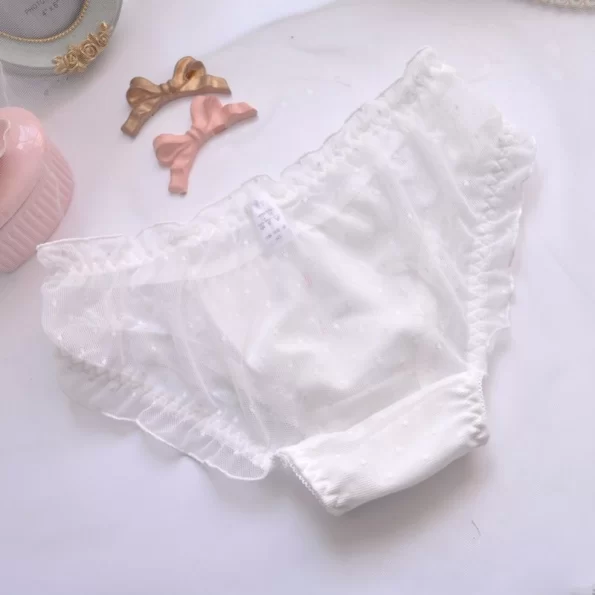 Women's Sexy Lace See Through Panties with Beautiful Butterfly Bow 7