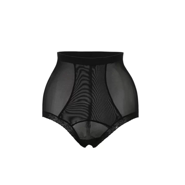 Chic and Sexy Sheer Mesh Hip Lifting Shapewear Panties with Feminine Allure 2