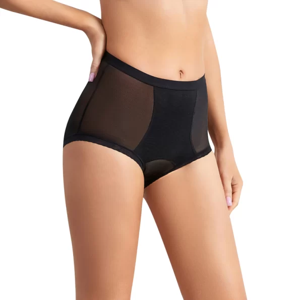 Chic and Sexy Sheer Mesh Hip Lifting Shapewear Panties with Feminine Allure 3