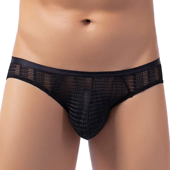 Glamorous and Sexy Hipster See Through Lace Men's Panties 1