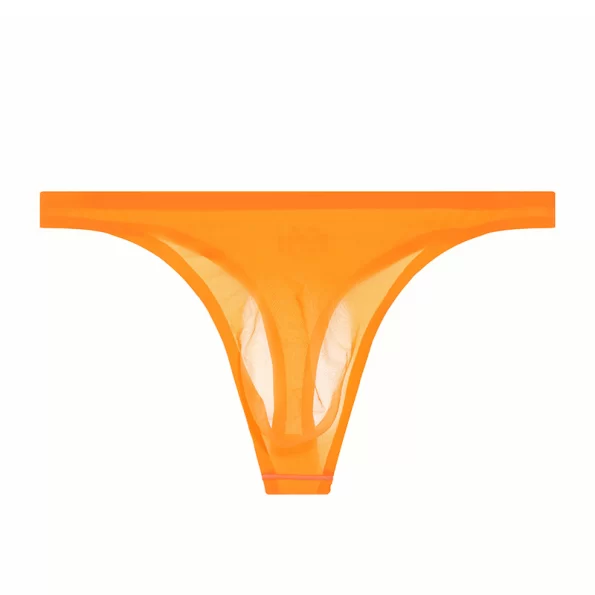 Fashionable Seamless Nylon Panties for Men with Breathable and Comfortable Fit 5