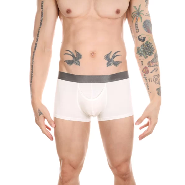 Soft and Breathable Men's Bamboo Fiber Elephant Trunk Underwear 10